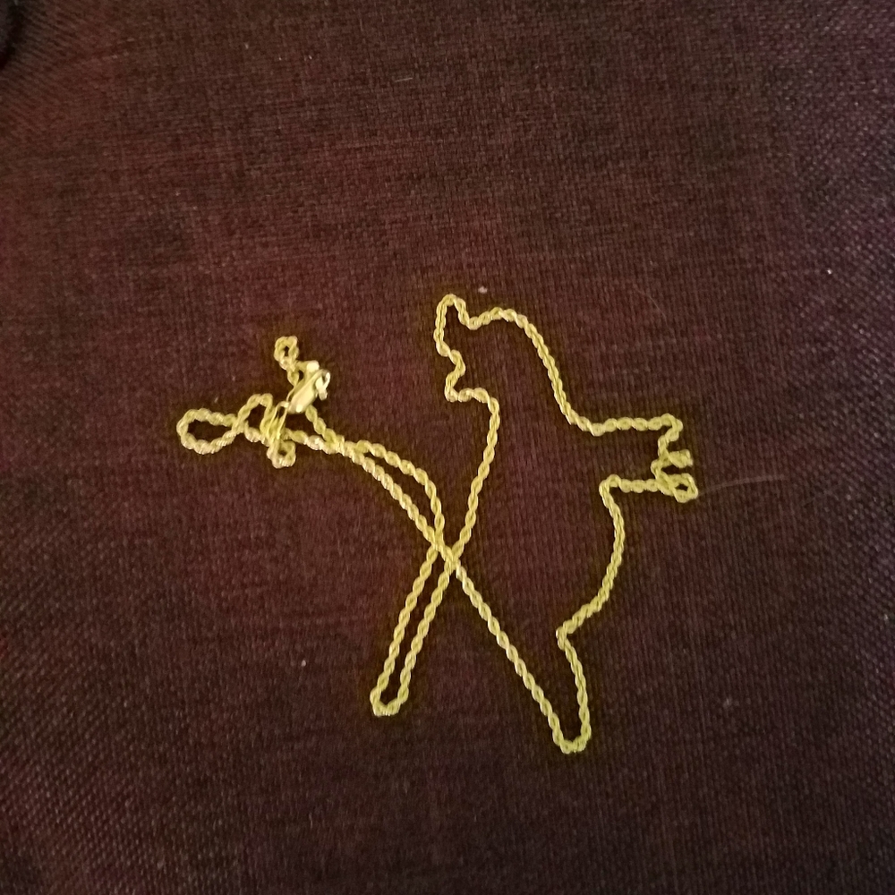 14K Gold Rope Chain Necklace